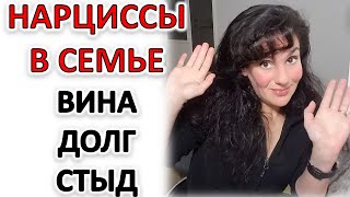 видео: НАРЦИССИЧЕСКАЯ СЕМЬЯ: ДАВЛЕНИЕ ВИНОЙ И ДОЛГОМ картинка: НАРЦИССИЧЕСКАЯ СЕМЬЯ: ДАВЛЕНИЕ ВИНОЙ И ДОЛГОМ