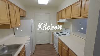 University of Texas at Arlington UTA Meadow Run on-campus apartment | Arbor oaks