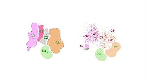 Interactive Radviz Visualization System Using Hierarchical Approach for Large-Multidimensional Data