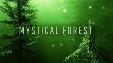 Enchanting Forest Music 🎵  for Relaxation and Meditation 🌲✨ Path to The Elven Lands