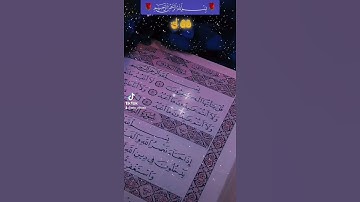 سورة الكافرون.القرآن راحة نفسية