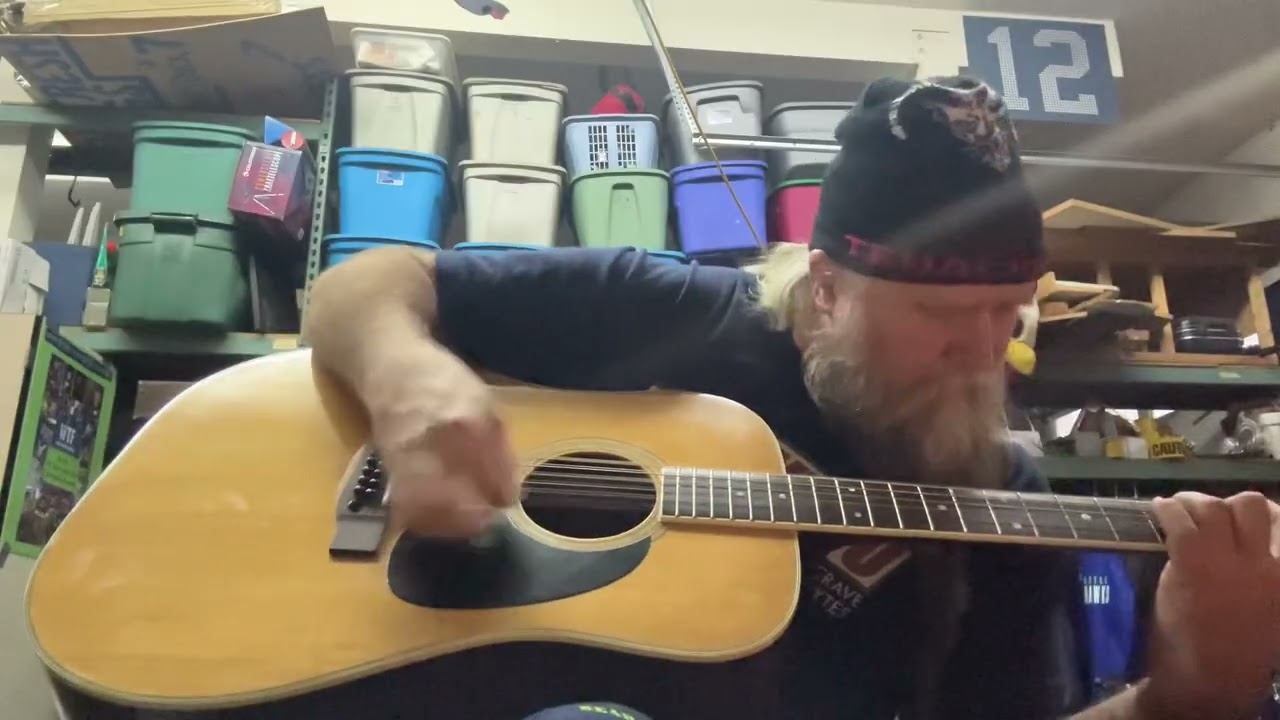 12-string acoustic guitar cover of “Aerials”