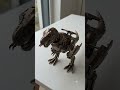 box to dinosaur 🦖🦕 #viralvideo