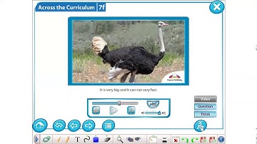 Excel 5 M 7 ex  4 p  94 It