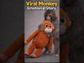 Viral baby monkey | #punch