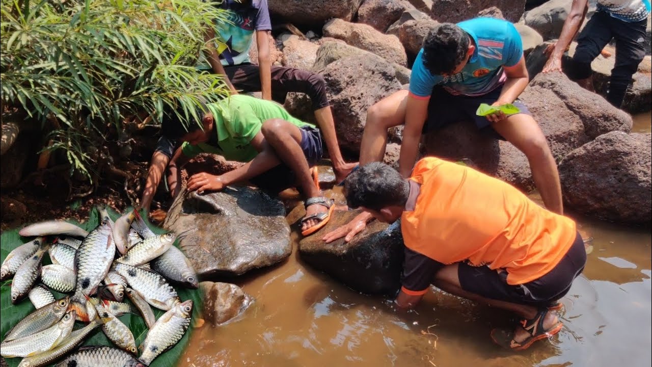 दगडाखालून पकडले चाचपून खूप मासे , मासे पकडण्याची भन्नाट पद्दत | traditional fihsing  @TejaGurav