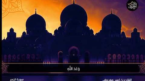 سورة الزمر (١-٣١) || القارئ الطبيب امير معروف ٢٠٢١ م - ١٤٤٢ه‍