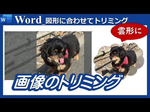 【画像のトリミング】Word Excel PowerPoint