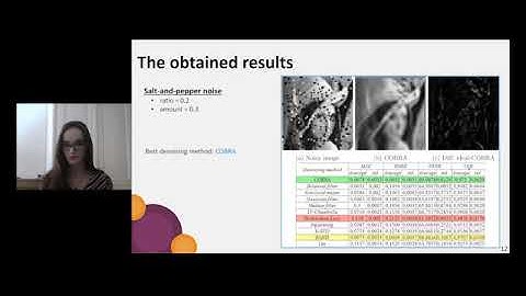 Nonlinear aggregation of filters to improve image denoising - Juliette Rengot and Benjamin Guedj