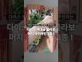 다이소 역대급 신상 머지 아이라인 3종 !! 이거 보고 사러가세요 🔥 #현소를찾아서