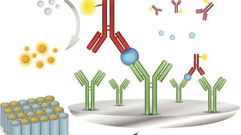 Understanding Immunoassay Analyses - Principles and Applications (4 Minutes Microlearning)