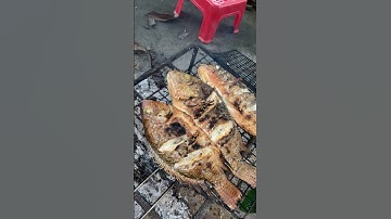 Cá Rô Phi Nướng chấm muối ớt, Mời cả nhà dùng cơm tối nha #food #shortvideo #short #video