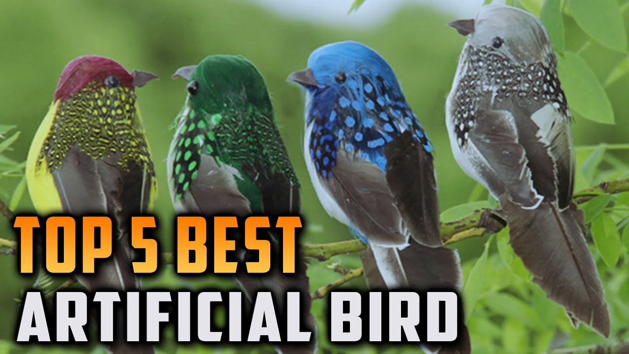Top 5 Best Artificial Bird YouTube