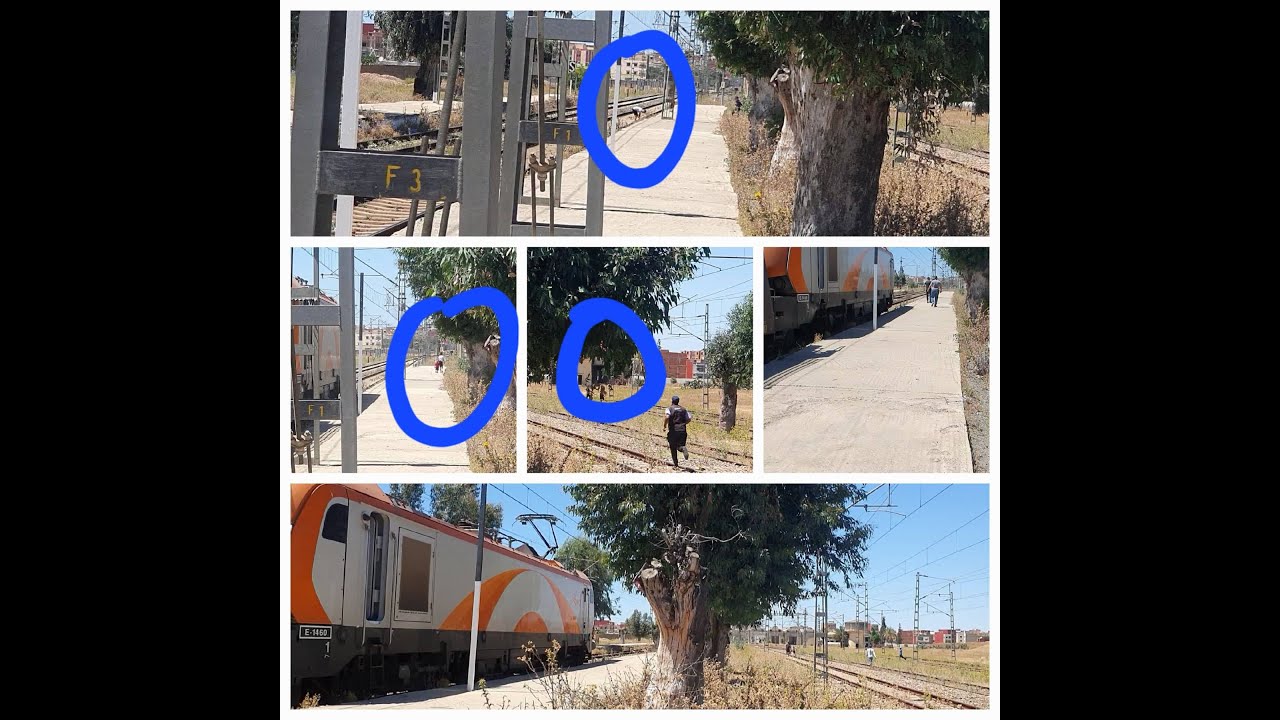 عاجل قطار بوجو يضطر للوقوف لتفادي د،هس بنت قاصر oncf E 1460 frein d'urgence   pour éviter 👫☠️📢⚠️🚘