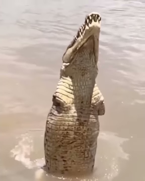 CHEKA NA MKUDE SIMBA LUFUFU 'KAMA UNATAKA NJOO'