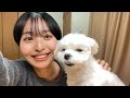実家の犬がASMRに初挑戦(ASMR with my dog)