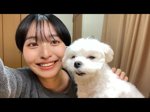 実家の犬がASMRに初挑戦（ASMR with my dog）