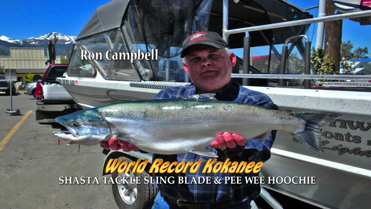 Shasta Tackle for Kokanee YouTube
