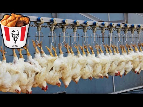 Receta De Productos Famosos Kfc