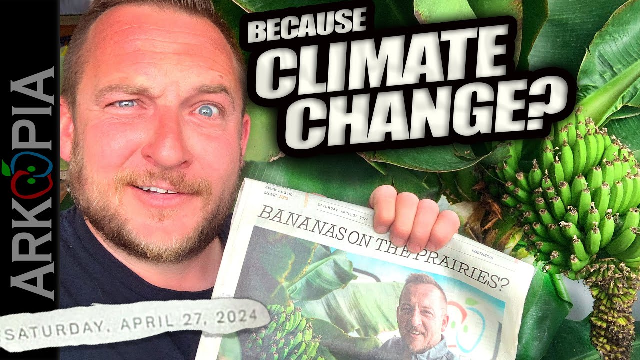 📰BREAKING NEWS - Bananas in -45C due to Climate Change?🥴 Media ...
