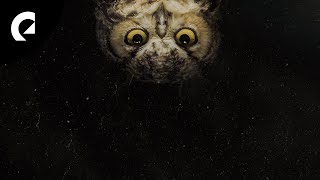 Magnus Ludvigsson - Faded Pictures