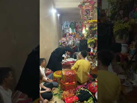 Video: Điện hoa