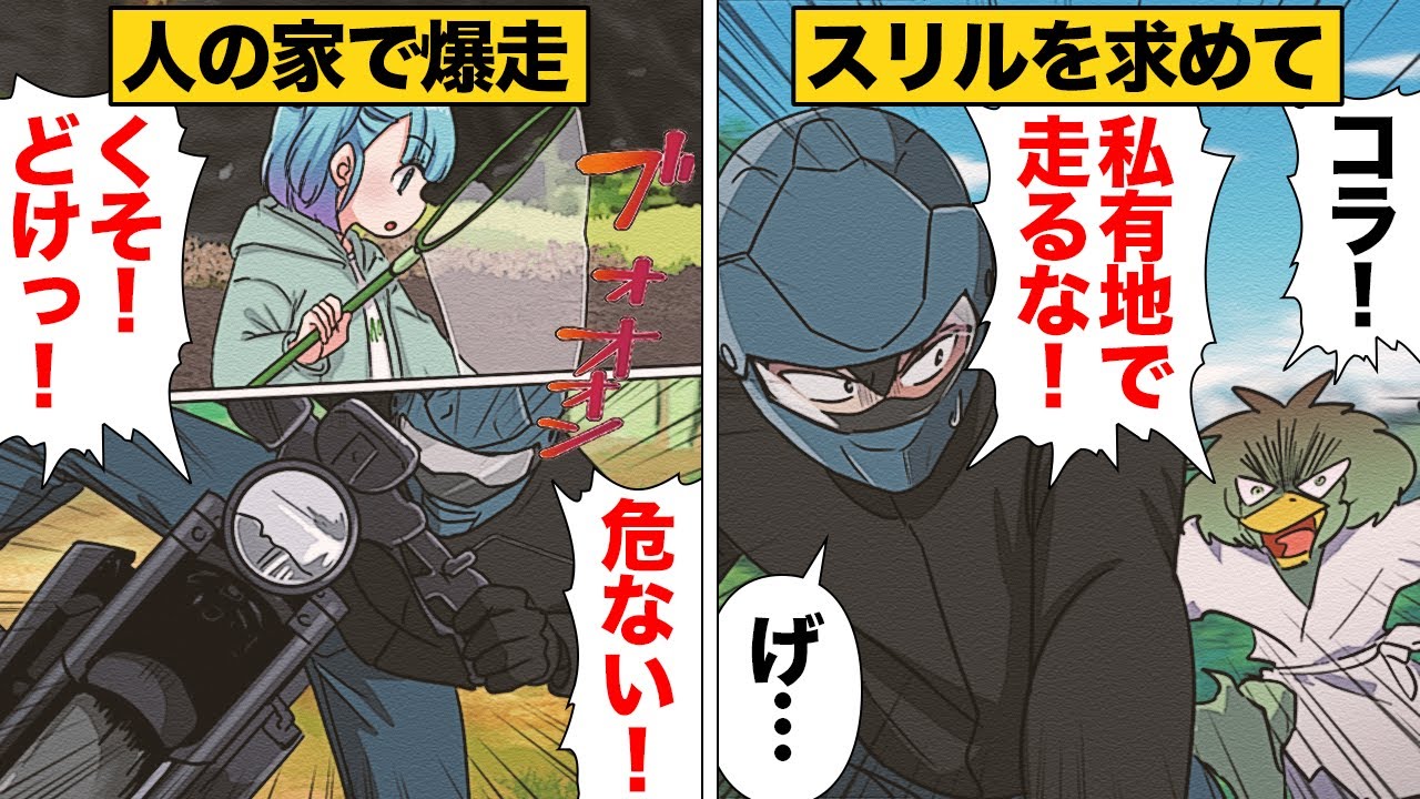Comic] The result of a nuisance rider entering private property