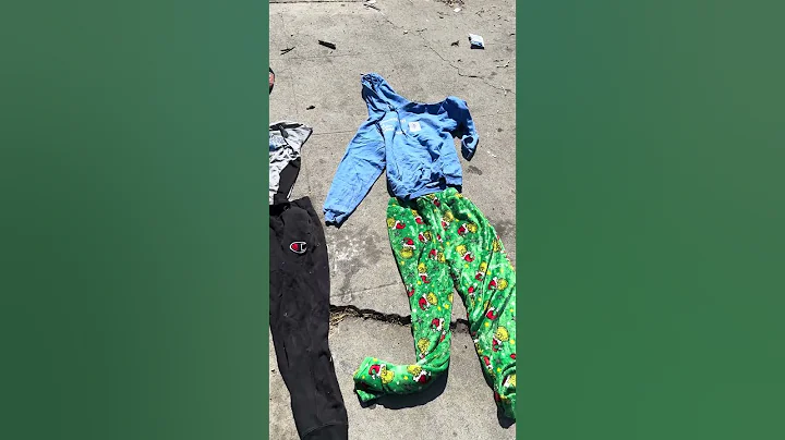 Finding Special Fits in Columbus Park, San Jose