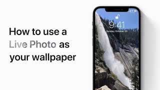 How to use a Live Photo as your wallpaper on your iPhone — Apple Support screenshot 4