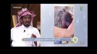 قصة مفقود الخاصره ( ابو عمر السوداني) لقاء مع قائد فريق وسم للبحث والانقاذ وتفاصيل القصه بالكامل