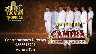 Orquesta Jaranera Gameba Jeydi Santiago