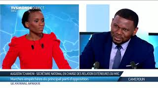 🇨🇲 Cameroun - Que devient Maurice Kamto ?