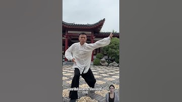 💪Công phu Thái Cực Quyền – Võ học của tâm hồn, nghệ thuật của sự cân bằng #kungfu