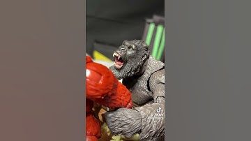 Kong protecting Suko #monsterverse #monsterfilm #actionfigures #sml