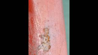 Golden Gate Bridge Rust Spots1