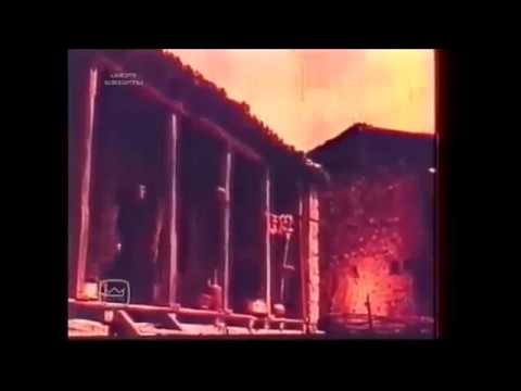 პრობლემები