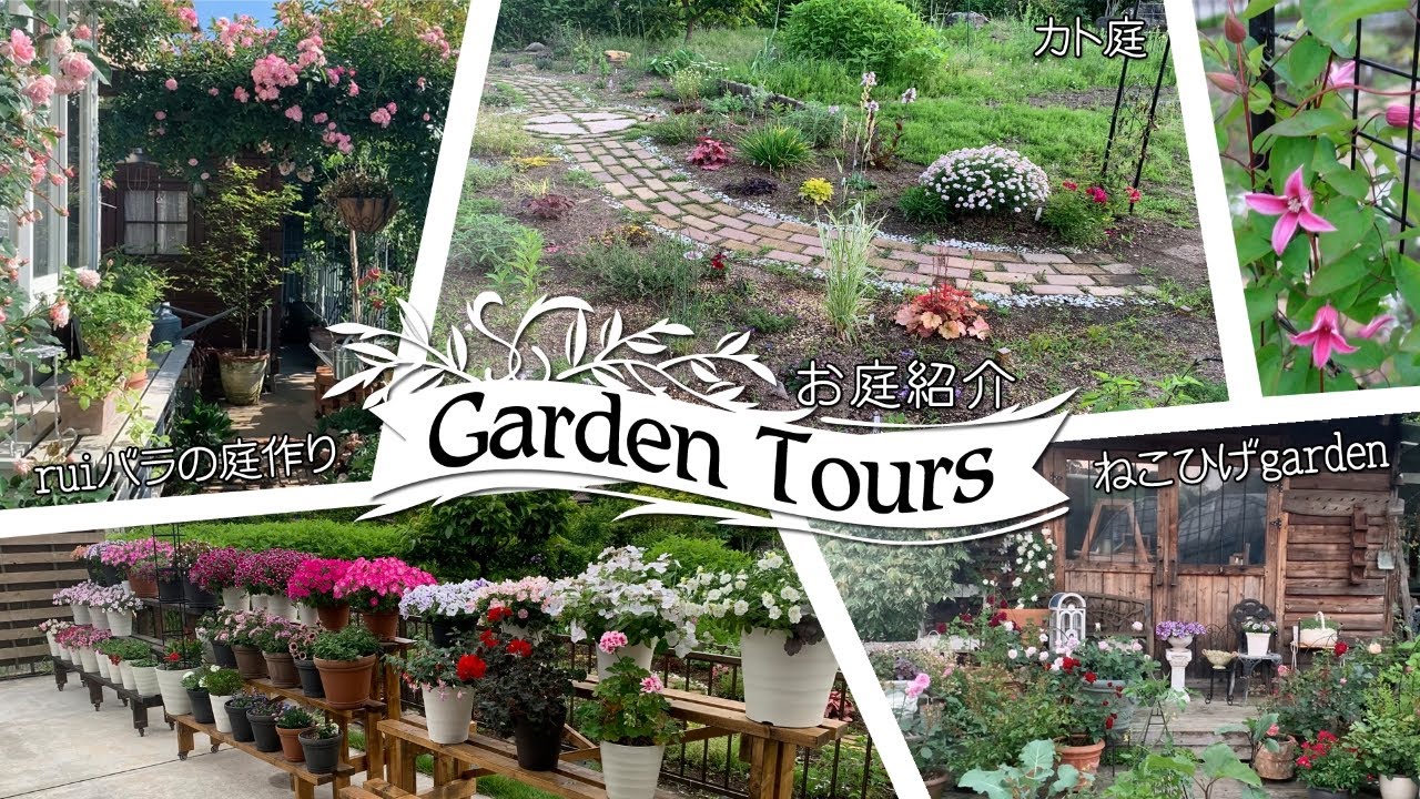 春のお庭紹介garden Tours ねこひげガーデンさんとrui バラの庭作りさんのお庭に訪問してきました Youtube
