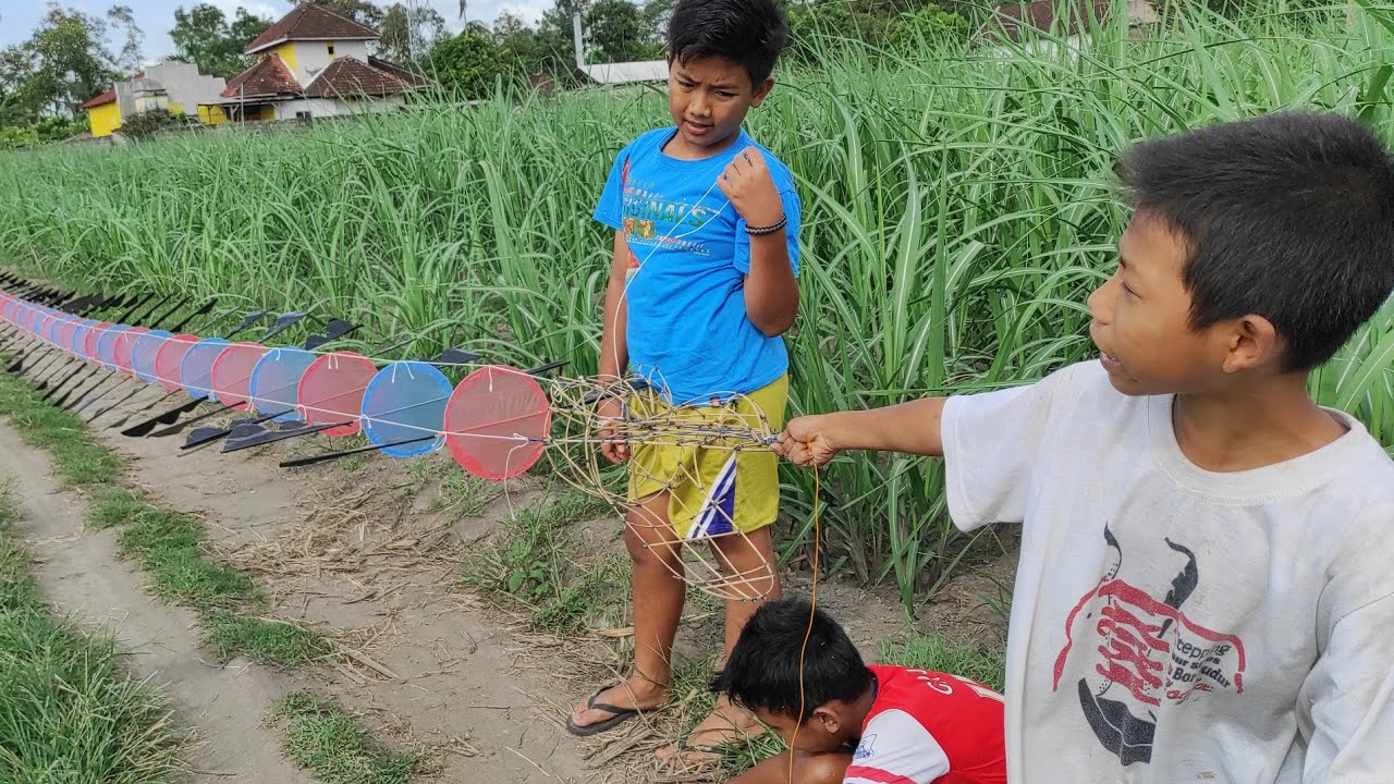 BOCIL DANIS NERBANGIN LAYANGAN NAGA MINI BERKEPALA TAK BERKULIT