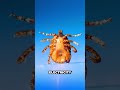 Scientists Just Solved The Tick Mystery!