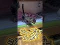 脳障害と後ろ脚不自由な猫です☺️