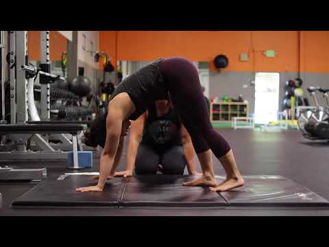 Rocks into Downward Facing Dog to Bear Walk