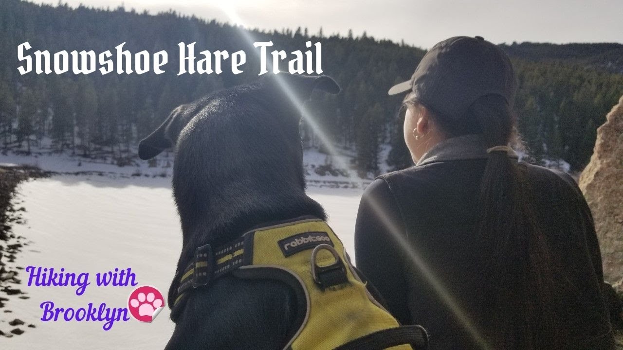 Snowshoe Hare Trail Golden Gate Canyon State Park, CO YouTube