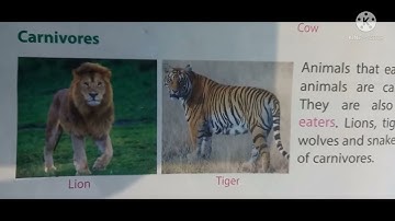 3rd class 14th chapter E.V.S Animals food and feeding