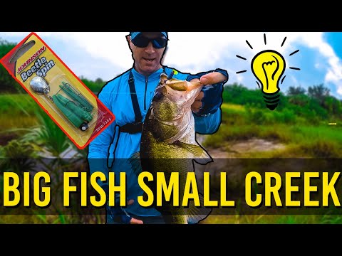 Beetle Spin Fishing Lures for GIANT FISH in small WATER! 