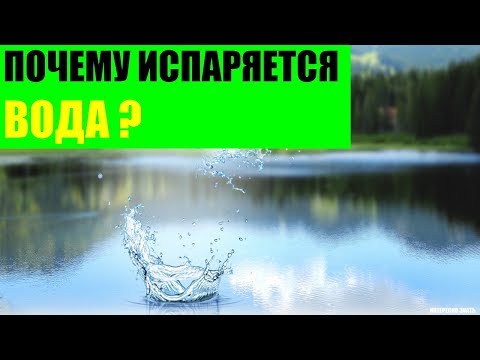 Почему испаряется вода?