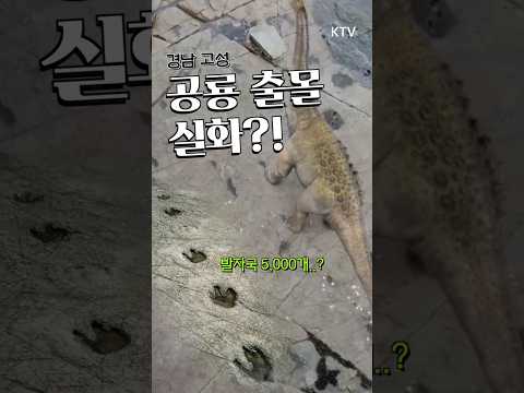 공룡이 살아있다 고성 #<strong>공룡박물관</strong> #테마파크