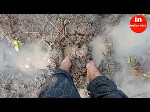 😭खेत के कीचड़ मे फस गया guys|indian vlog|hindi vlog|pankaj jatav |village life|real life vlog|pankaj