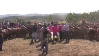 Curro da Graña 2013