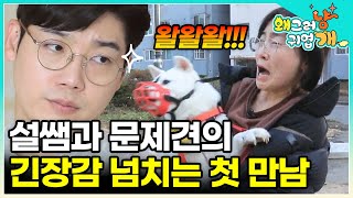 시작부터 팽팽했던 설쌤과 희망이의 만남! 감당 불가 초고도 흥분견 희망이를 위한 설쌤의 특급 솔루션 │#왜그러냥귀엽개