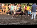 Sumit UNA vs Ginda Vehran - Rehan Kangra (Himachal Pardesh) 13-June-2026